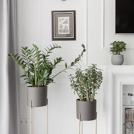 Luksusowy Hercena7 W Sercu Miasta Βρότσλαβ