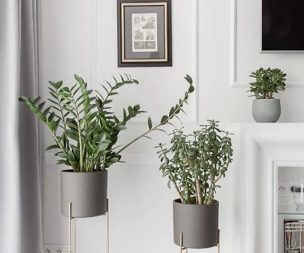 Luksusowy Hercena7 W Sercu Miasta Wroclaw